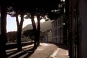 oImage11