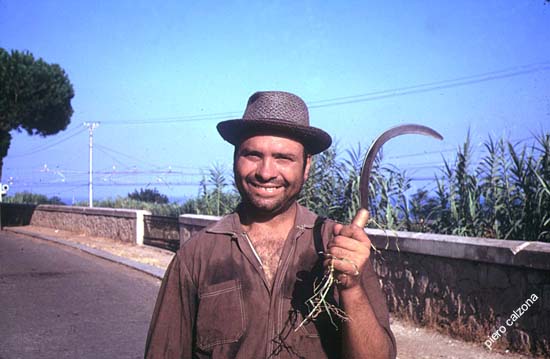 peppareu 2