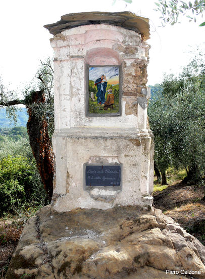 P1160492