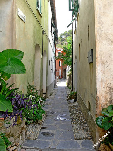 P1070937