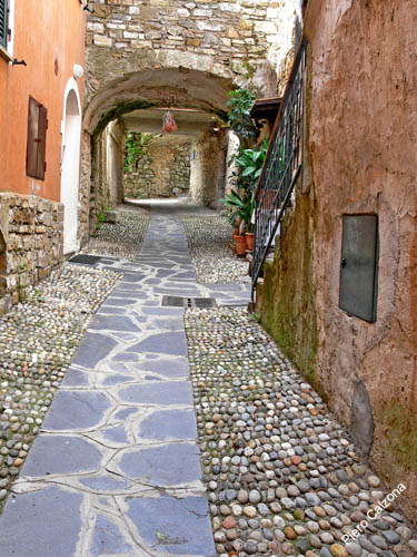 P1070942