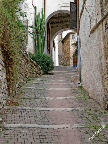 P1070954