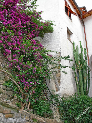P1070957