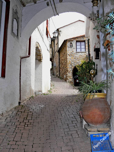 P1070960