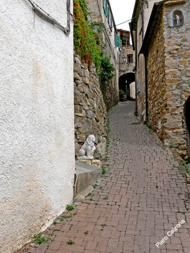 P1070961