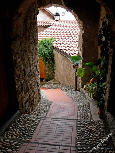 P1070969