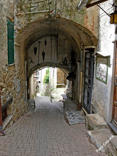 P1070974