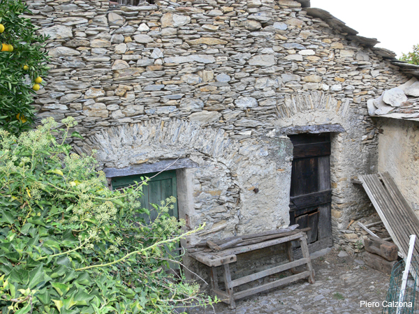 P1160910