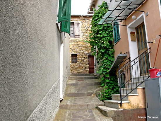 P1150537