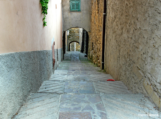 P1150591
