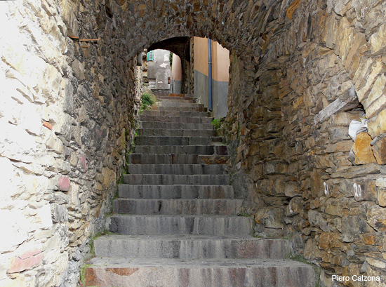P1150597