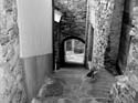 P1150595