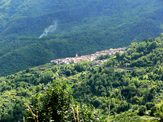 P1160169