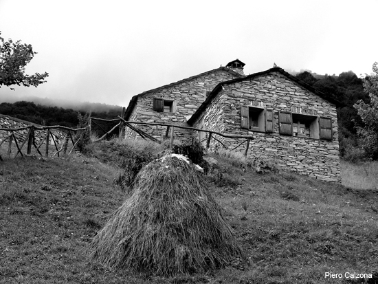 P1160061